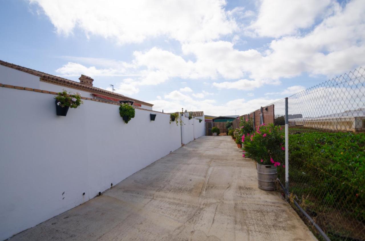 Casa Manoli Villa Conil De La Frontera Exterior foto